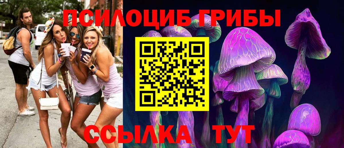 Псилоцибиновые грибы Psilocybine cubensis Дальнереченск