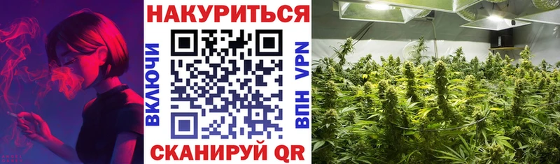 как найти наркотики  Дальнереченск  Конопля THC 21% 